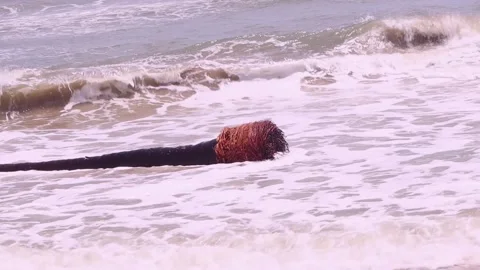 One of the dried trees that fell on the sea wave is in the wave Stock Footage 162803454