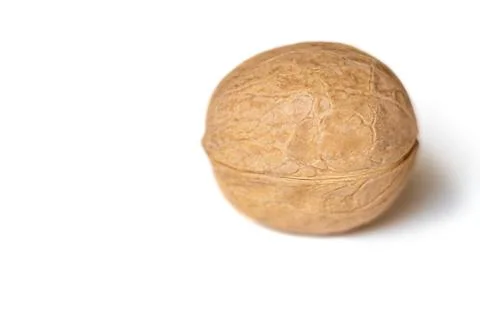 One dried walnut in a shell closeup isolated on a white background Stock Photos