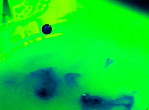 ONE DROP IN GREEN Photos