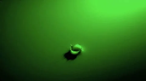 One Drop of Liquid Falling Into Green Background Stock-Footage 19088904