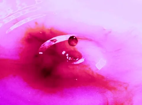 ONE DROP  IN VIOLET Photos