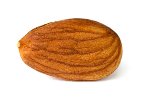 One dry apricot kernel isolated on white background Stock Photos