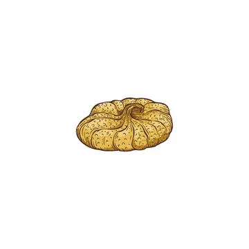 One dry fig isolated on white background. Vector hand drawn illustration of Stock Illustration