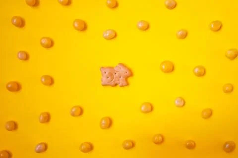 One easter bunny cookie among bean candies on yellow background Stock Photos