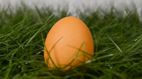 One easter egg Stock Footage 72709530