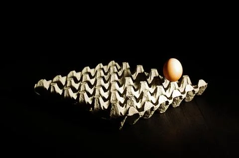 One egg on the case Stock Photos