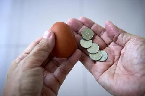 One Egg, Five Coins, a Thoughtful Moment Stock Photos