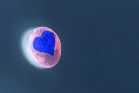 One egg lies separately on a plain blue - gray background. A pink neon heart  库存照片