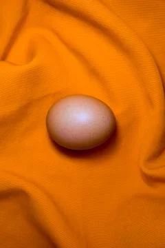 One egg on orange background Stock Photos