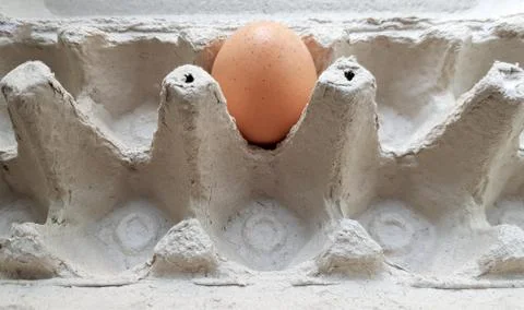 One egg in a package close-up. Lone chicken egg in a tray Foto stock