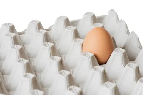 One egg in the package Stock Photos