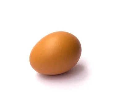 One egg. Stock Photos