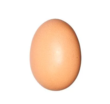 One egg Stock Photos