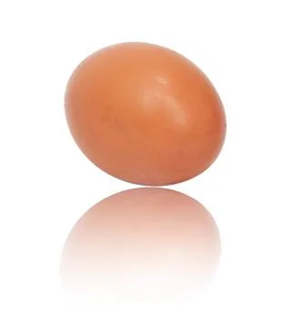 One egg on white background Stock Photos