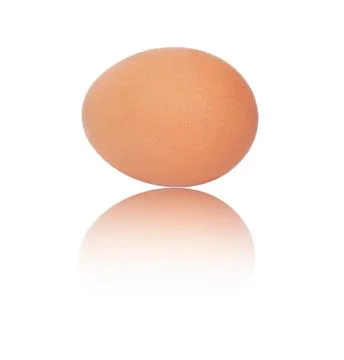 One egg on white background Stock Photos