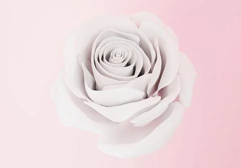 One elegant white rose close up on light pink background, 3d render Stock Illustration