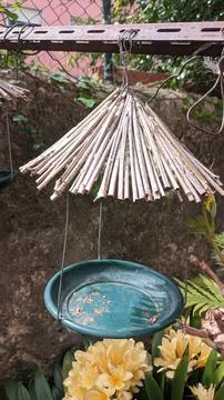 One empty beautiful feeder for small birds in the garden Foto stock