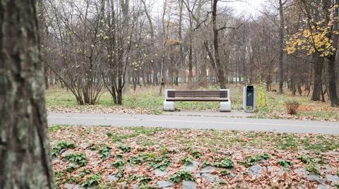 One empty bench without people in the autumn park. In the afternoon, trees, s Stock-Fotos