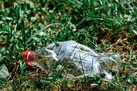 One empty plastic bottle is lying on grass, source of contamination Foto stock