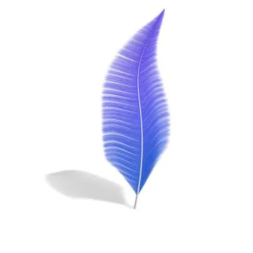 One feather on a white isolated background Stock Illustration