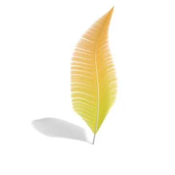 One feather on a white isolated background Stock Illustration