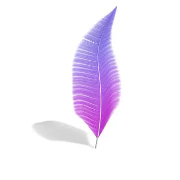 One feather on a white isolated background Illustrazione stock