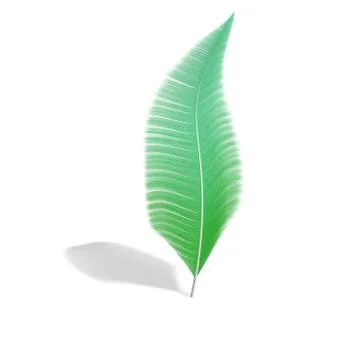 One feather on a white isolated background Stock Illustration
