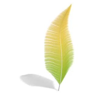 One feather on a white isolated background Stock Illustration