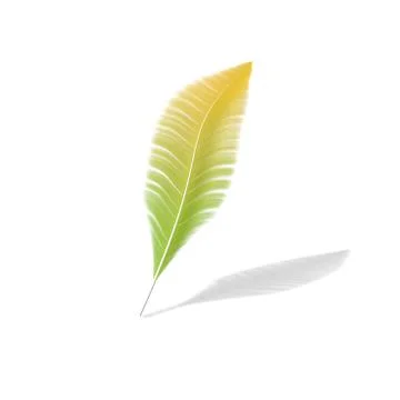 One feather on a white isolated background Stock Illustration