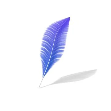 One feather on a white isolated background Stock Illustration