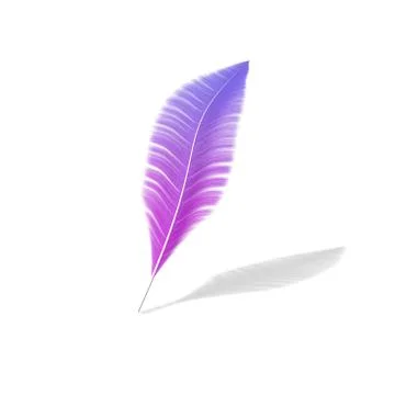 One feather on a white isolated background Illustrazione stock