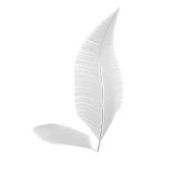 One feather on a white isolated background Stock Illustration
