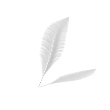 One feather on a white isolated background Stock Illustration