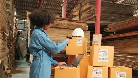 One female worker scan bar codes to check orders at parcels warehouse factory. 스톡 동영상 171197079