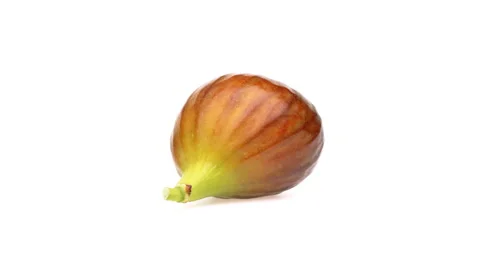 One fig fruit is rotating on white background. Stock Footage 160147012