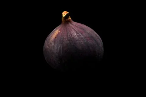 One fig isolated on black background Stock Photos