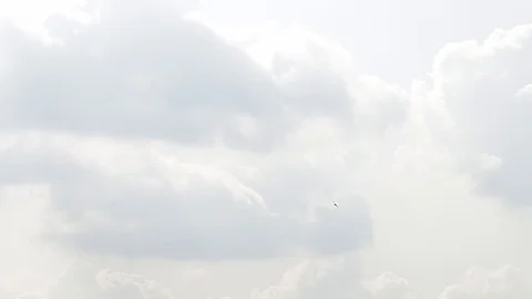 One fighter jets in the blue sky. A general plan. Aerobatic figures. Airshow. 10 Stock Footage 124144029