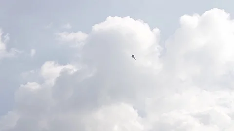 One fighter jets falls in the blue sky. A general plan. Aerobatic figures Stock Footage 124144032