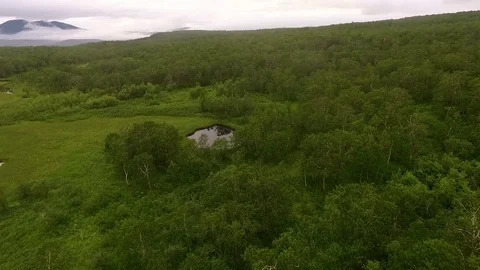 One Flew Over: forest, lake and mountain views in the clouds Stock Footage 72608113