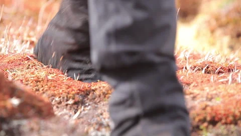 One foot steps on peat soil, sinks down and keeps on walking Stock Footage 274156440