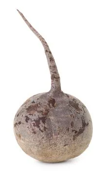 One fresh beetroot isolated on white. Vegetable root Stock Photos