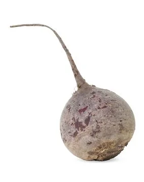 One fresh beetroot isolated on white. Vegetable root Stock Photos