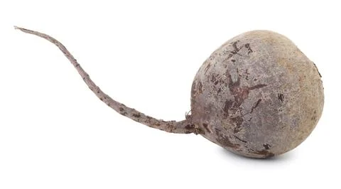 One fresh beetroot isolated on white. Vegetable root Stock Photos