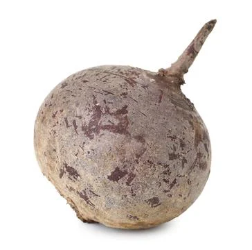 One fresh beetroot isolated on white. Vegetable root Stock Photos