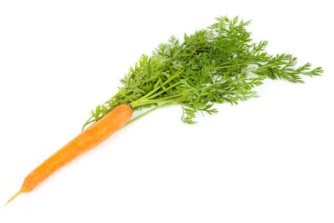 One fresh carrot with leaf Stock Photos
