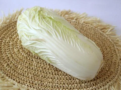 One fresh chicory that is ready to be processed into food Stock Photos
