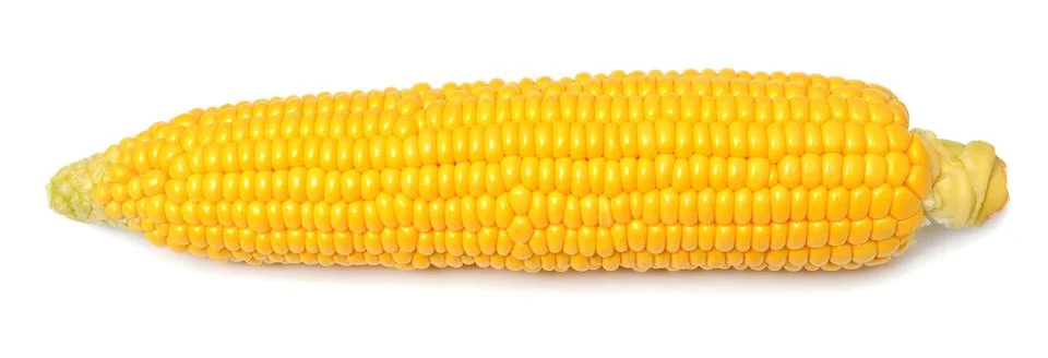 One fresh corn cob macro isolated on white background Stock Photos