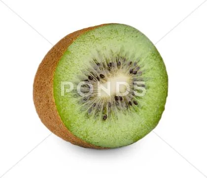 One fresh kiwi half isolated on white background Stock Photos
