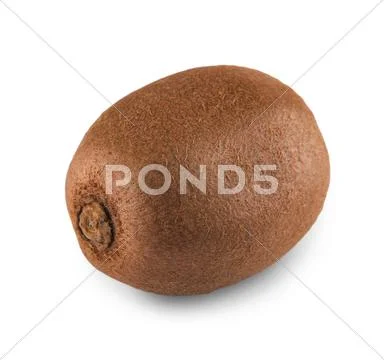 One fresh kiwi isolated on white background Stock Photos