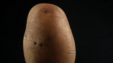 One Fresh Potato close up Stock Footage 103230900